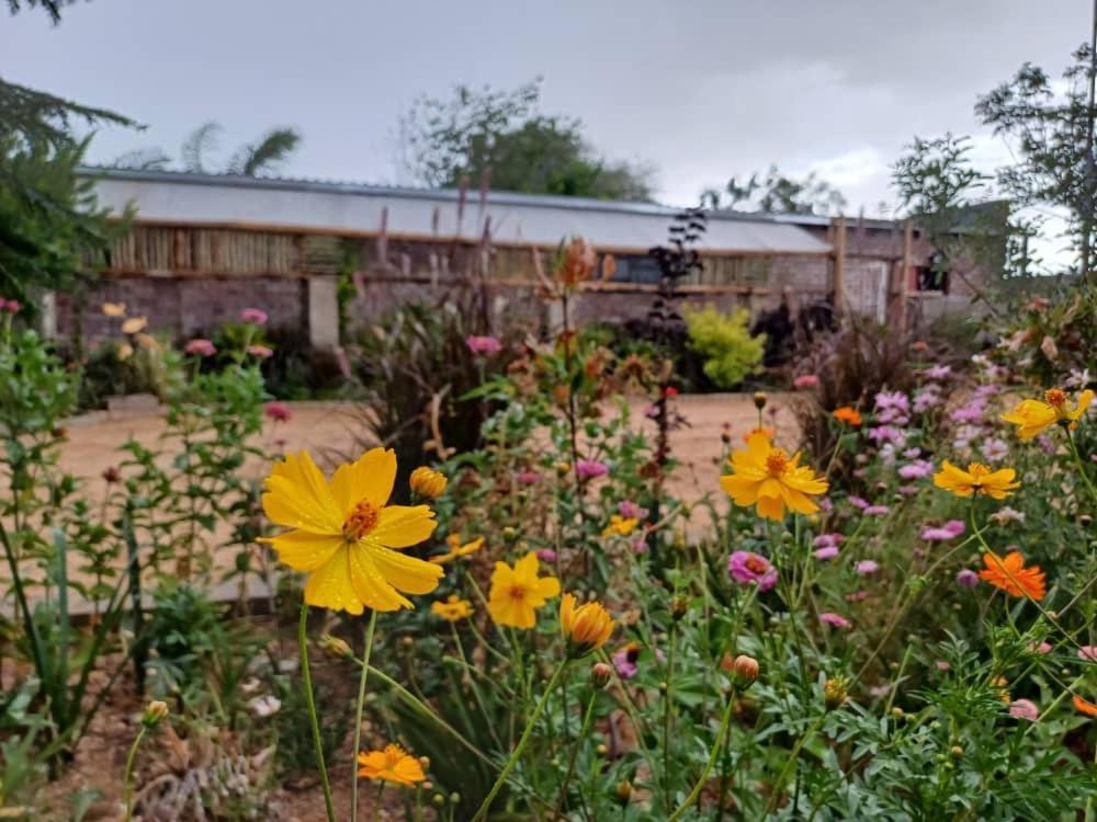 Knowhere Selfcatering Unit 1 Na Omaruru Ngoại thất bức ảnh