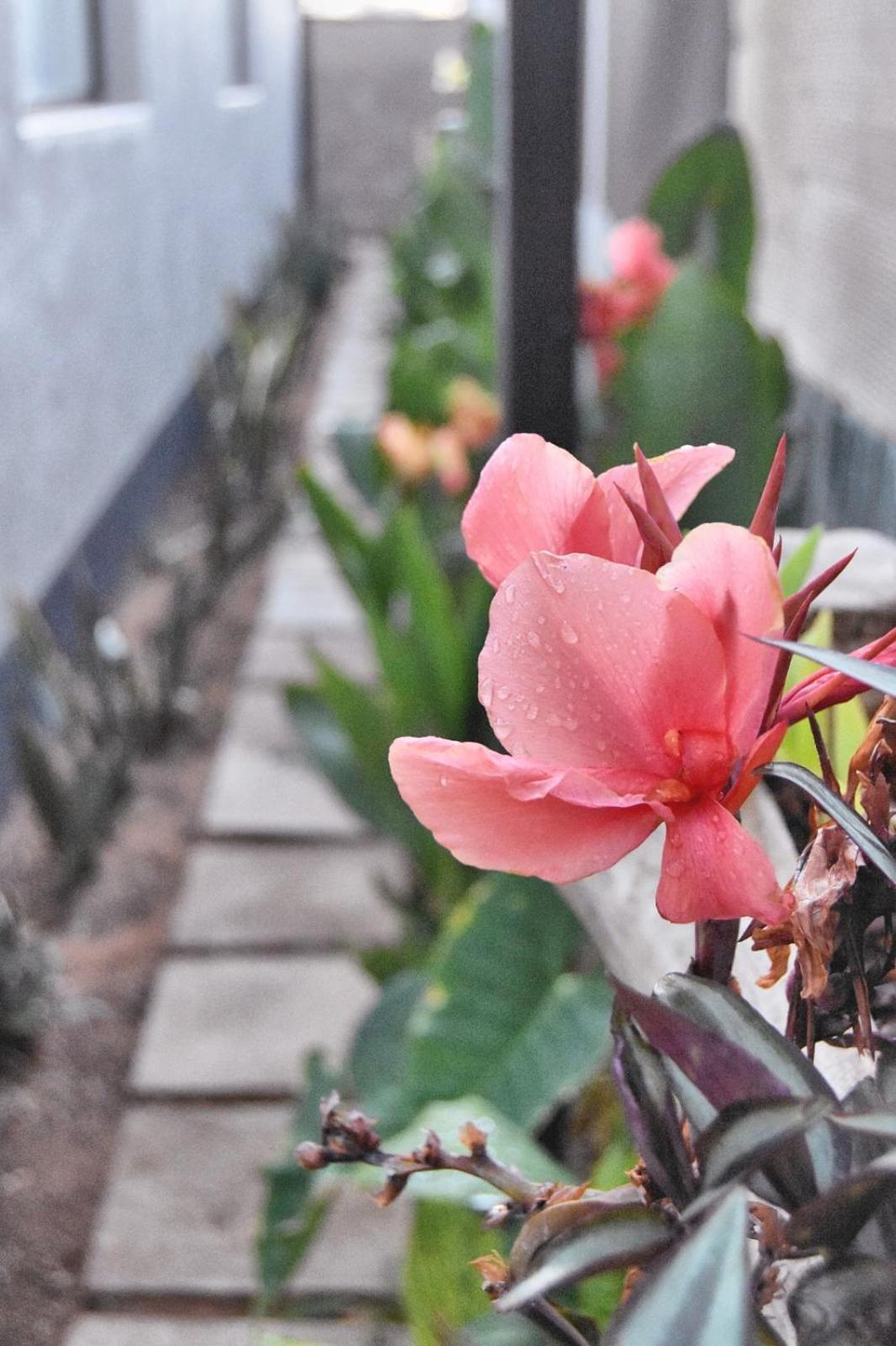 Knowhere Selfcatering Unit 1 Na Omaruru Ngoại thất bức ảnh